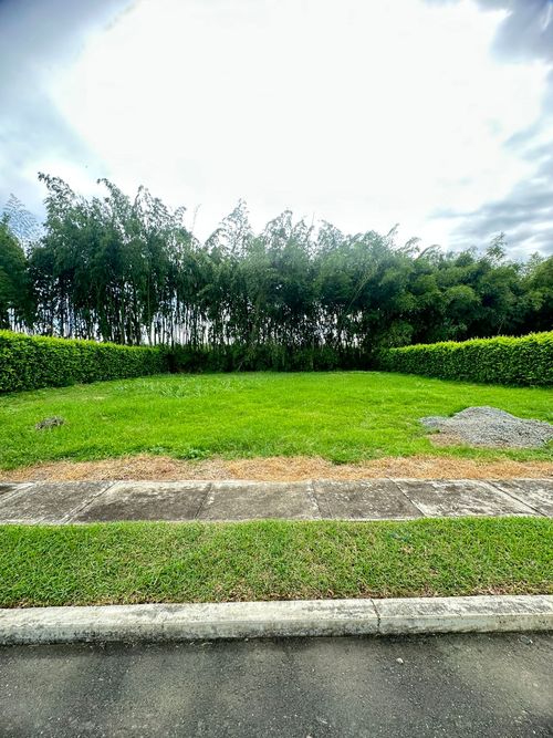 Lote en venta en Rozo, Palmira, 958 m² · foto 12 de 24
