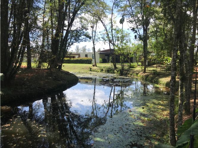 Lote en venta en Llano Grande, Rionegro, 2251 m² · foto 2 de 16