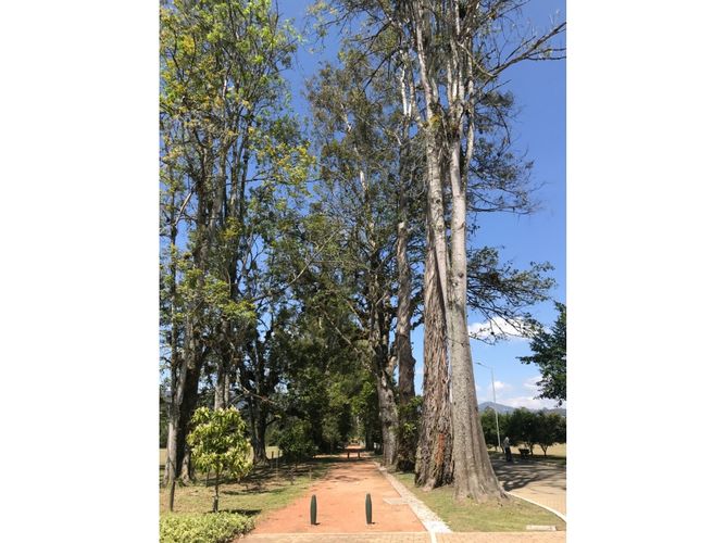 Lote en venta en Llano Grande, Rionegro, 2251 m² · foto 6 de 16