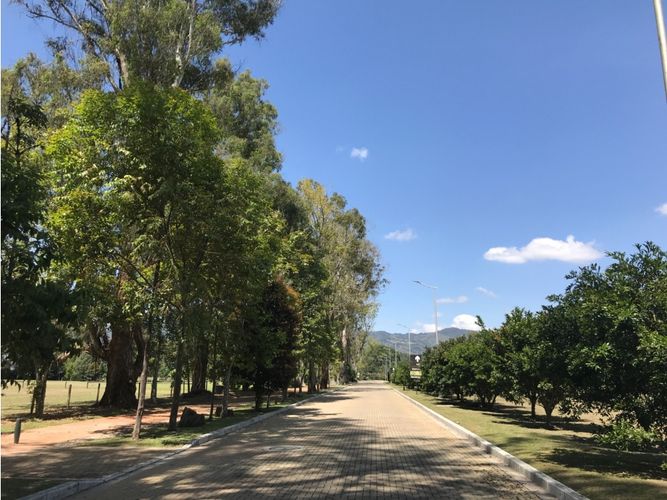 Lote en venta en Llano Grande, Rionegro, 2251 m² · foto 7 de 16