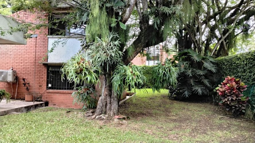 Casa de 5 alcobas en venta en Pance, Cali, 292 m² · foto 3 de 17