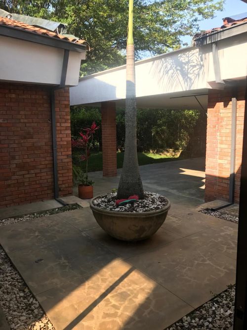 Casa de 5 alcobas en venta en Pance, Cali, 292 m² · foto 5 de 17