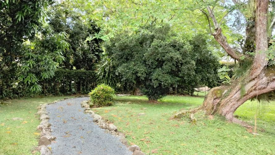 Casa de 5 alcobas en venta en Pance, Cali, 292 m² · foto 17 de 17