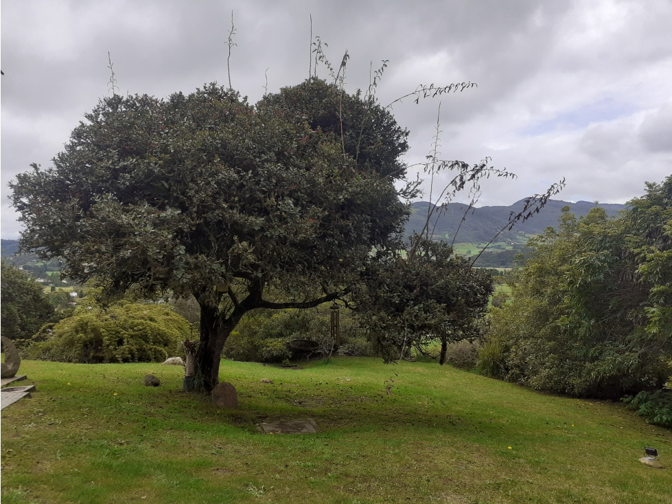 Casa en arriendo en San Jose De La Concepcion, La Calera · foto 15 de 19