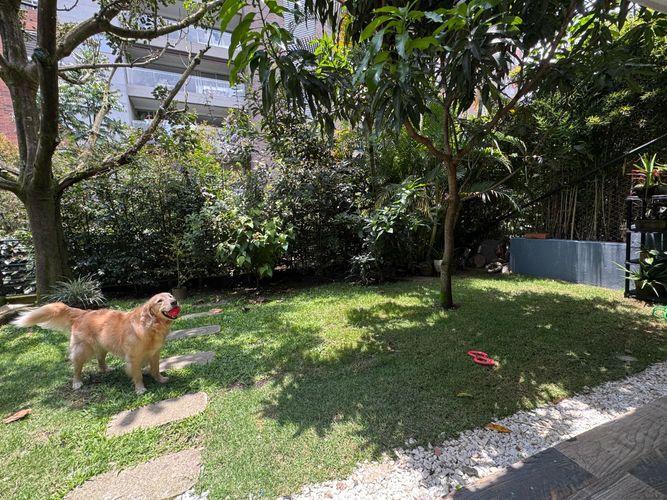 Apartamento de 4 alcobas en arriendo en El Poblado, Medellín, 300 m² · foto 20 de 20