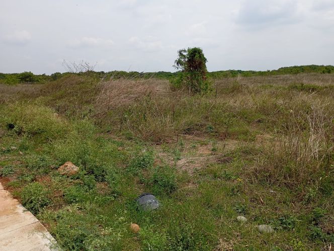 Lote en venta en Cencar- Yumbo, Yumbo, 5049 m² · foto 4 de 6