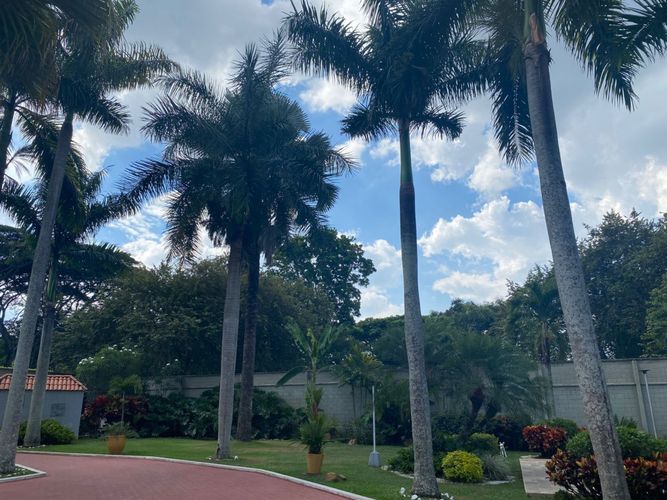 Casa de 4 alcobas en venta en Pance, Cali, 550 m² · foto 4 de 24