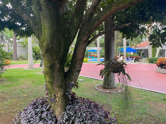 Casa de 4 alcobas en venta en Pance, Cali, 550 m² · foto 5 de 24