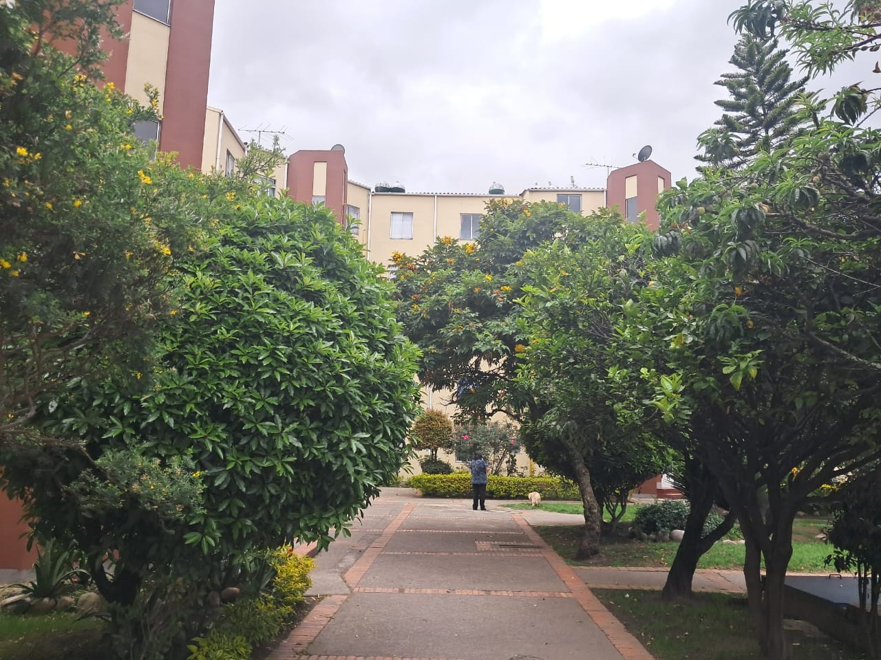 Apartamento en venta en El Tunal, Bogotá · foto 4 de 23