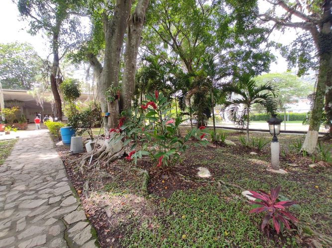 Finca en venta en Centro, Piedecuesta, 12500 m² · foto 17 de 22
