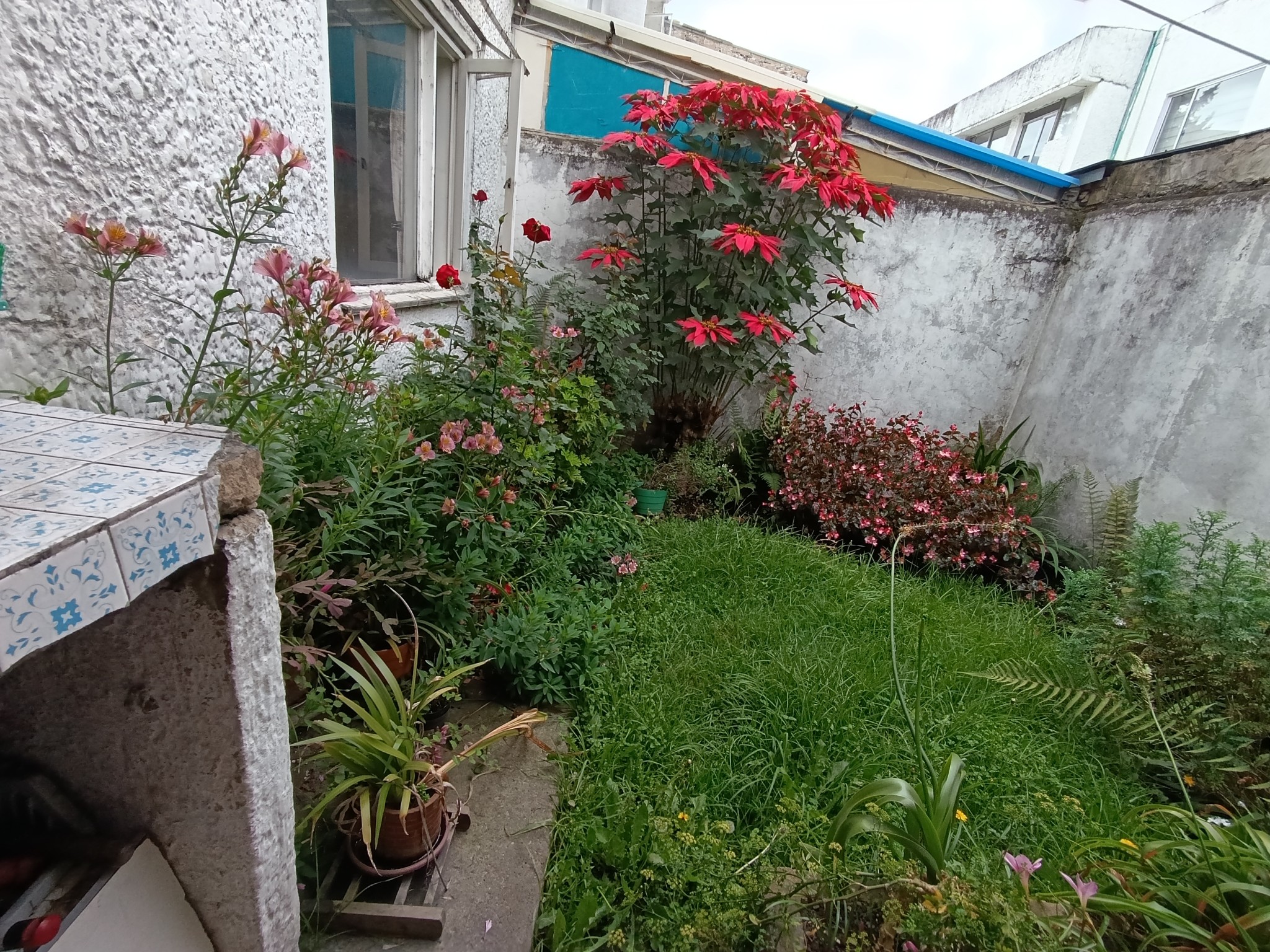 Apartamento en venta en Modelia Occidental, Bogotá · foto 16 de 19