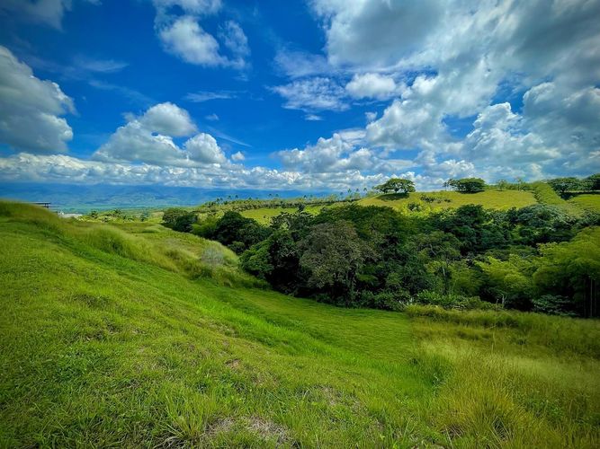 Lote en venta en Cerritos, Pereira · foto 6 de 13