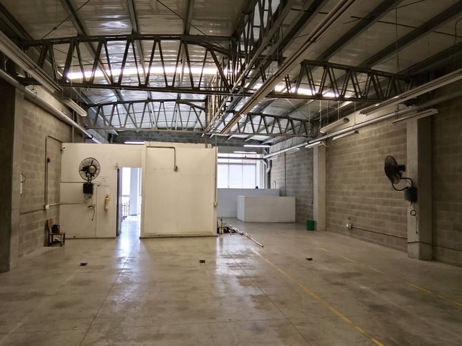 Bodega en arriendo en Zona Rural, Itagüí, 545 m² · foto 5 de 20