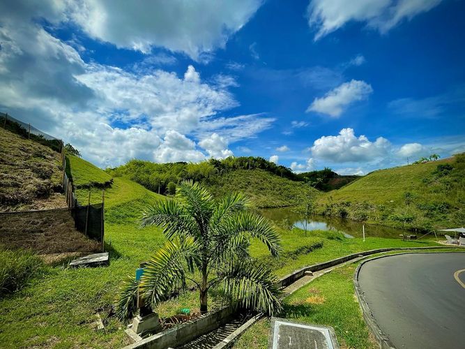 Lote en venta en Cerritos, Pereira · foto 6 de 7