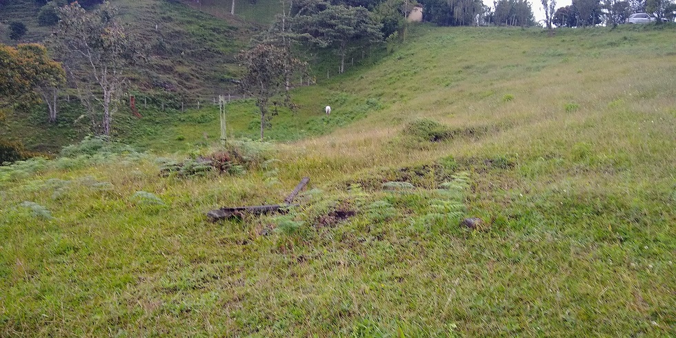 Land in Yarumal for Sale