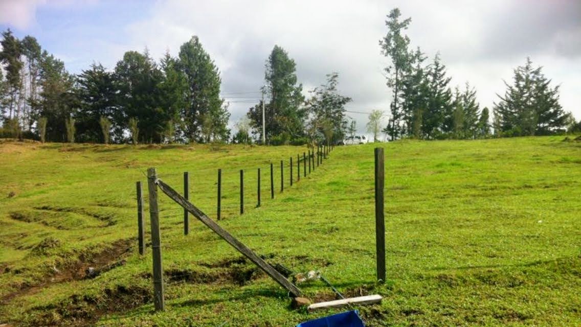 Land in Yarumal for Sale - 2