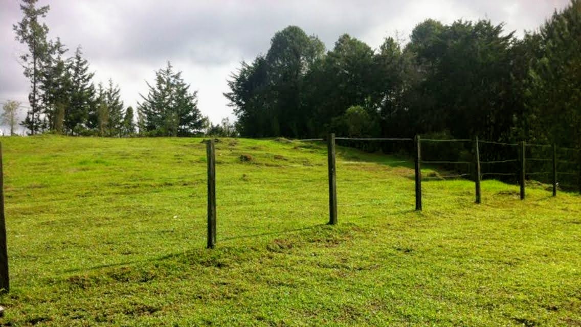 Land in Yarumal for Sale - 3