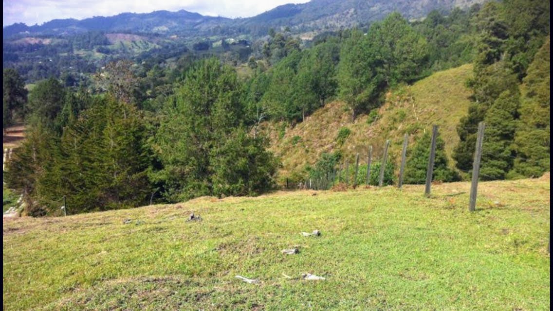 Land in Yarumal for Sale - 4