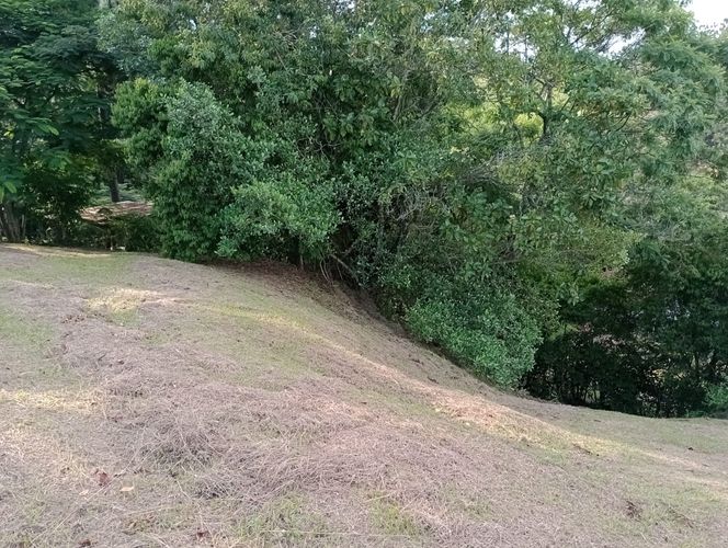 Lote en venta en Porerito, Jamundí, 1323 m² · foto 9 de 10