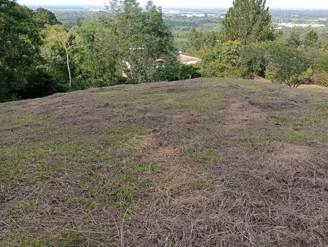 Lote en venta en Porerito, Jamundí, 1323 m² · foto 10 de 10