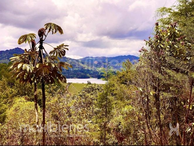 Finca en venta en Los Salados, El Retiro, 6769 m² · foto 12 de 21