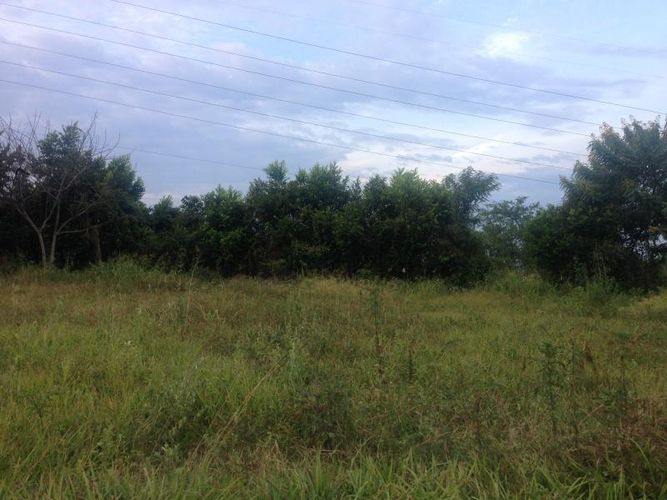 Lote en venta en Pance, Cali, 3037 m² · foto 3 de 8