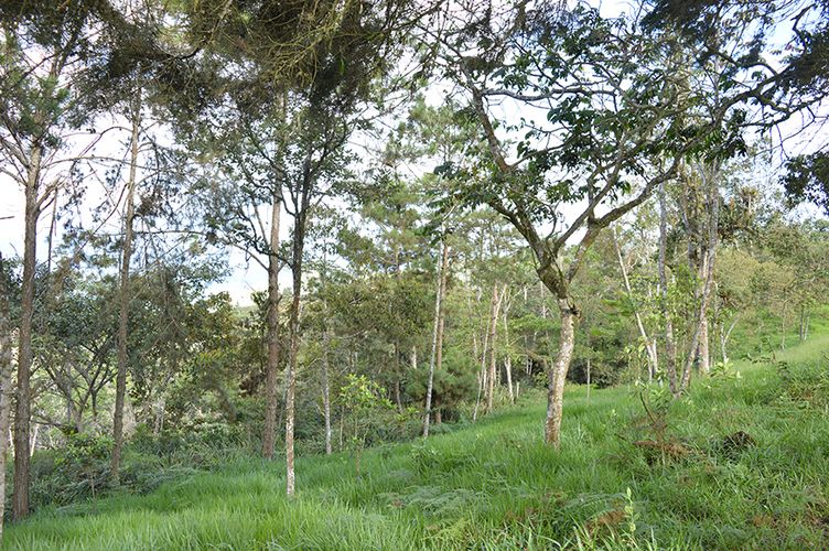 Lote en venta en El Chocho, Yumbo, 28249 m² · foto 2 de 5