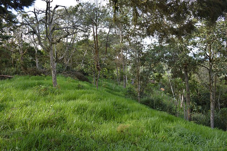 Lote en venta en El Chocho, Yumbo, 28249 m² · foto 3 de 5