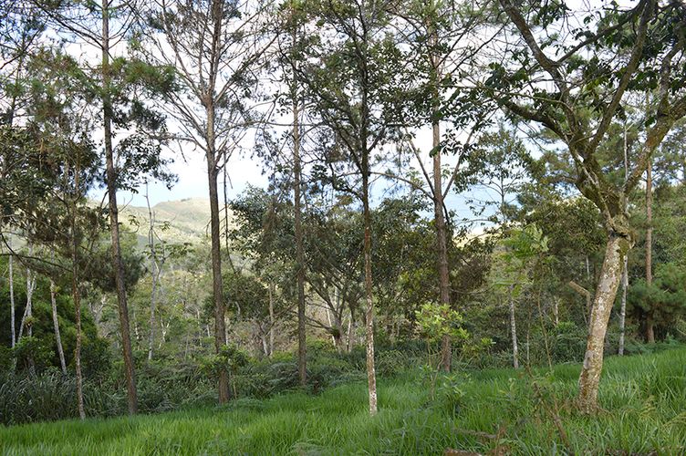 Lote en venta en El Chocho, Yumbo, 28249 m² · foto 4 de 5