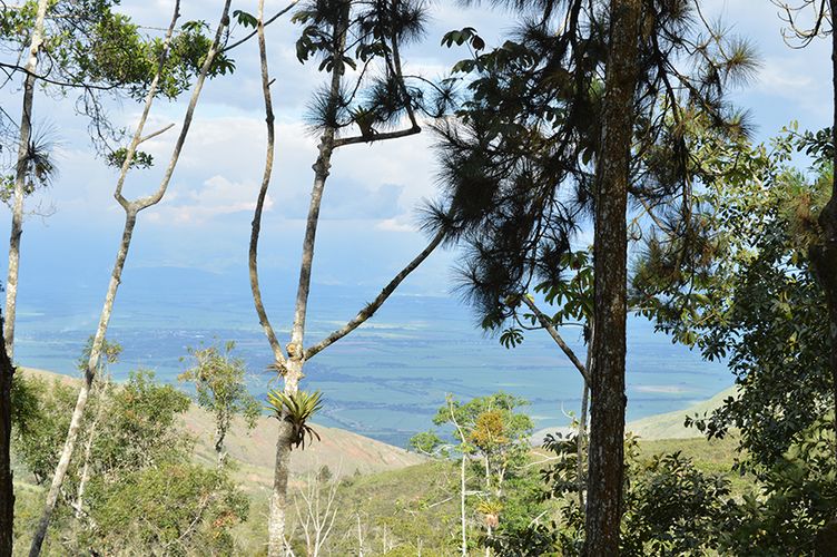 Lote en venta en El Chocho, Yumbo, 28249 m² · foto 5 de 5