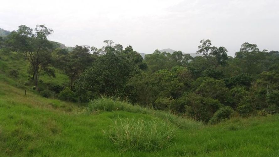 Lote en venta en Medio Dapa, Yumbo, 45000 m² · foto 5 de 13