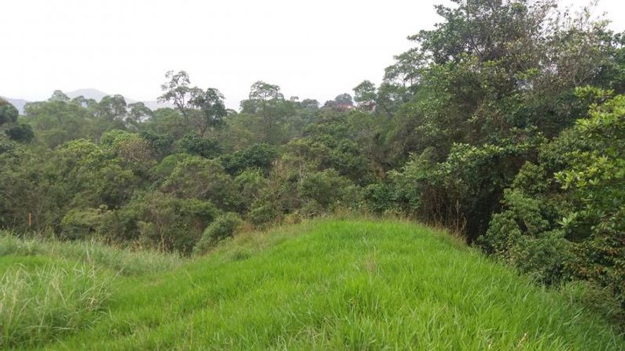 Lote en venta en Medio Dapa, Yumbo, 45000 m² · foto 6 de 13
