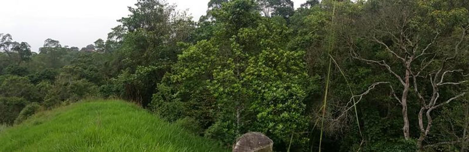 Lote en venta en Medio Dapa, Yumbo, 45000 m² · foto 9 de 13