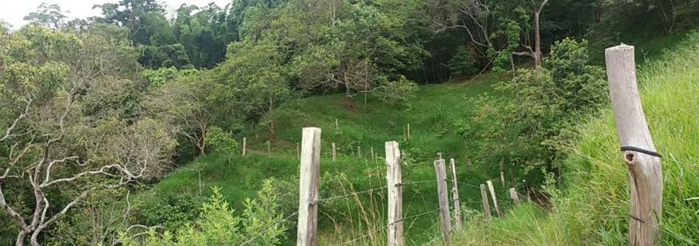 Lote en venta en Medio Dapa, Yumbo, 45000 m² · foto 10 de 13