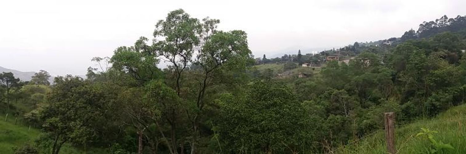Lote en venta en Medio Dapa, Yumbo, 45000 m² · foto 11 de 13