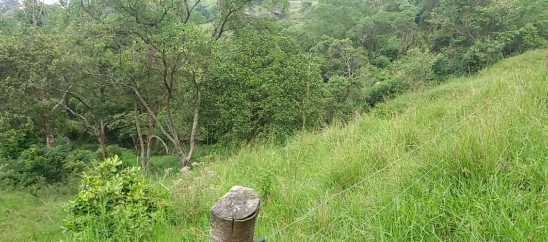 Lote en venta en Medio Dapa, Yumbo, 45000 m² · foto 13 de 13