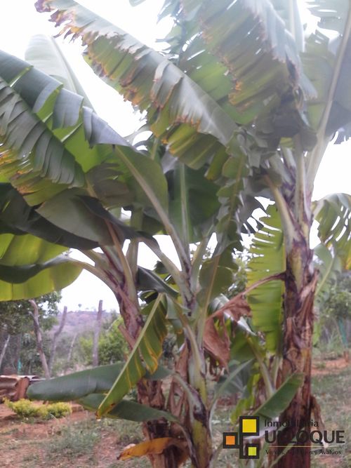 Finca en venta en Mesa De Los Santos, Piedecuesta, 1850 m² · foto 6 de 17