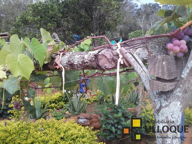 Finca en venta en Mesa De Los Santos, Piedecuesta, 1850 m² · foto 13 de 17
