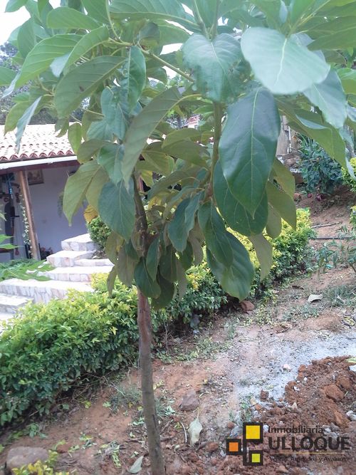 Finca en venta en Mesa De Los Santos, Piedecuesta, 1850 m² · foto 14 de 17