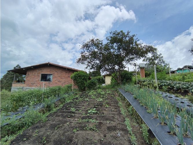 Finca en venta en La Mosca, Rionegro, 9500 m² · foto 2 de 18