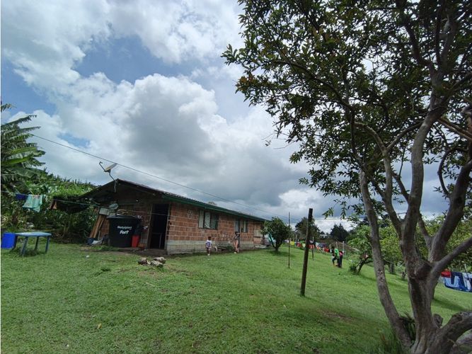 Finca en venta en La Mosca, Rionegro, 9500 m² · foto 5 de 18