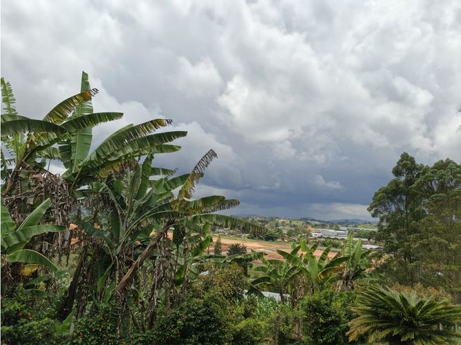 Finca en venta en La Mosca, Rionegro, 9500 m² · foto 7 de 18
