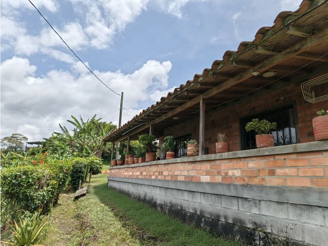 Finca en venta en La Mosca, Rionegro, 9500 m² · foto 10 de 18