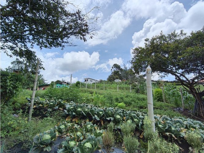 Finca en venta en La Mosca, Rionegro, 9500 m² · foto 18 de 18
