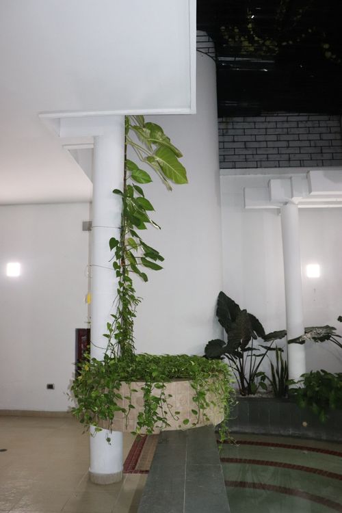 Casa de 5 alcobas en venta en El Ingenio, Cali, 500 m² · foto 13 de 18