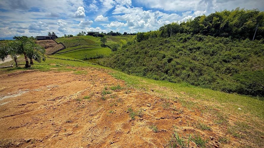 Lote en venta en Cerritos, Pereira, 1525 m² · foto 2 de 6