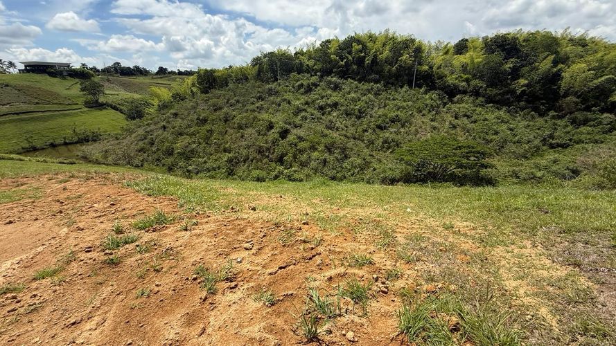Lote en venta en Cerritos, Pereira, 1525 m² · foto 4 de 6