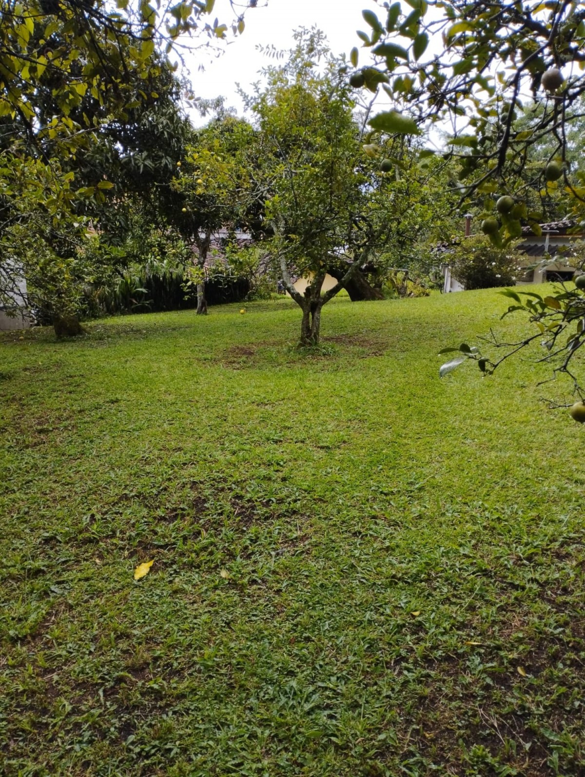 Lote en venta en El tesoro, Medellín 4