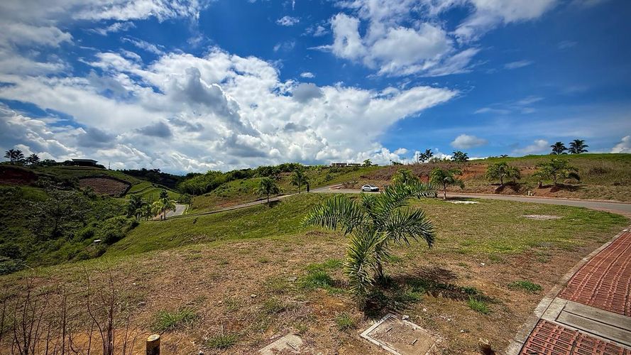 Lote en venta en Cerritos, Pereira, 2327 m² · foto 3 de 5