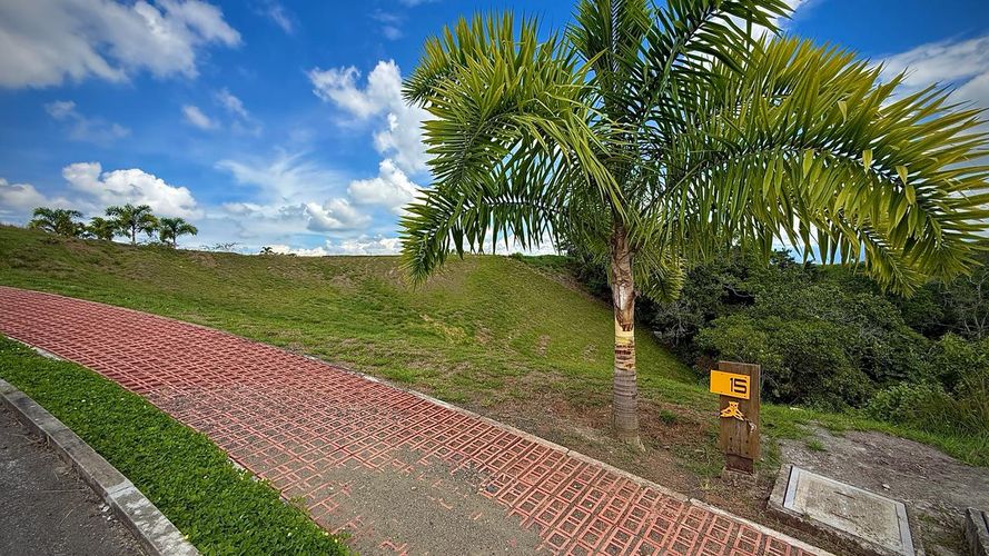 Lote en venta en Cerritos, Pereira · foto 7 de 9